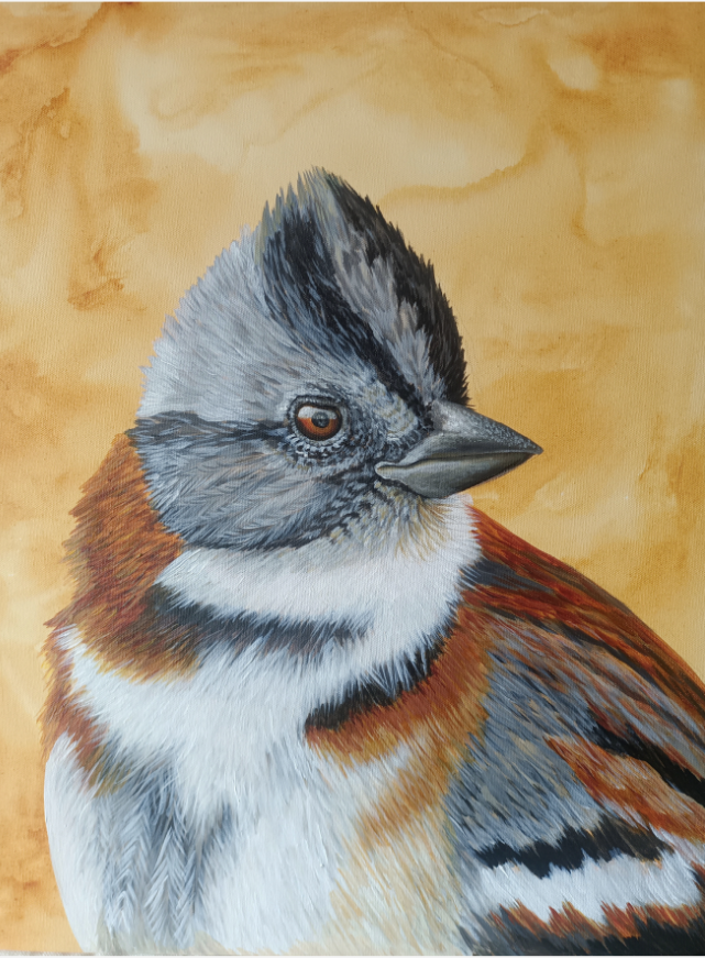 Obra de Carola Mancilla